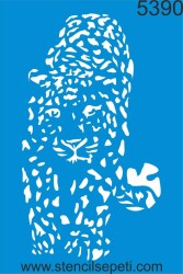 Çita - StencilSepeti