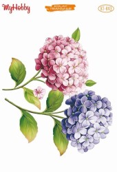 My Hobby KKT-043 - 17x25cm - MyHobby