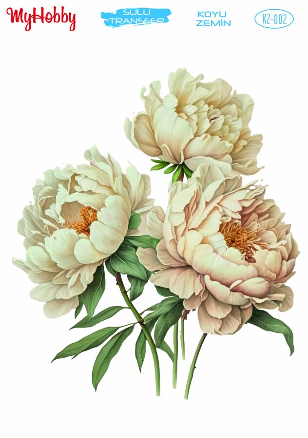 My Hobby Koyu Zemin - 002 25x35cm - 1