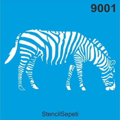 Zebra - 1